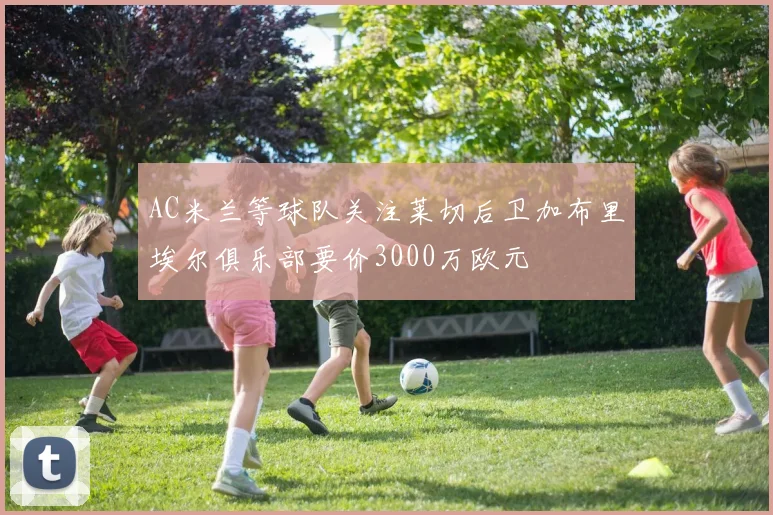 AC米兰等球队关注莱切后卫加布里埃尔俱乐部要价3000万欧元