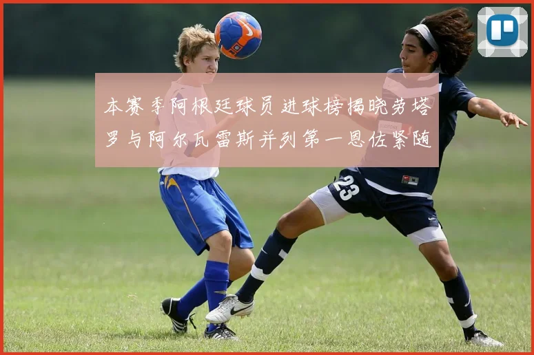 本赛季阿根廷球员进球榜揭晓劳塔罗与阿尔瓦雷斯并列第一恩佐紧随其后
